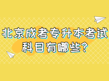 北京成考專升本 北京成考答疑