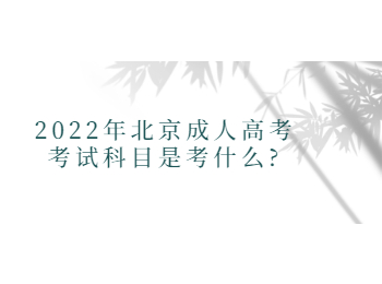 北京成人高考考試科目